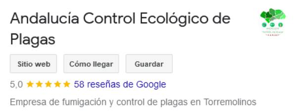 Valoraciones de Google Empresa de fumigación y control de plagas en Málaga con todas sus reseñas 5 estrellas